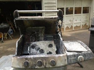 IMG_0565.2012-06-02_161841