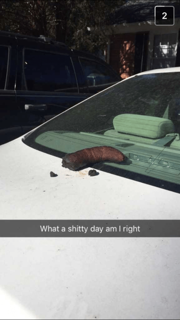 Screenshot_20180204-193335[1]