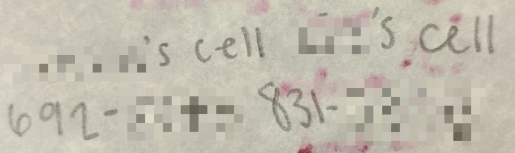 pro 2 cell numbers_censored (1)