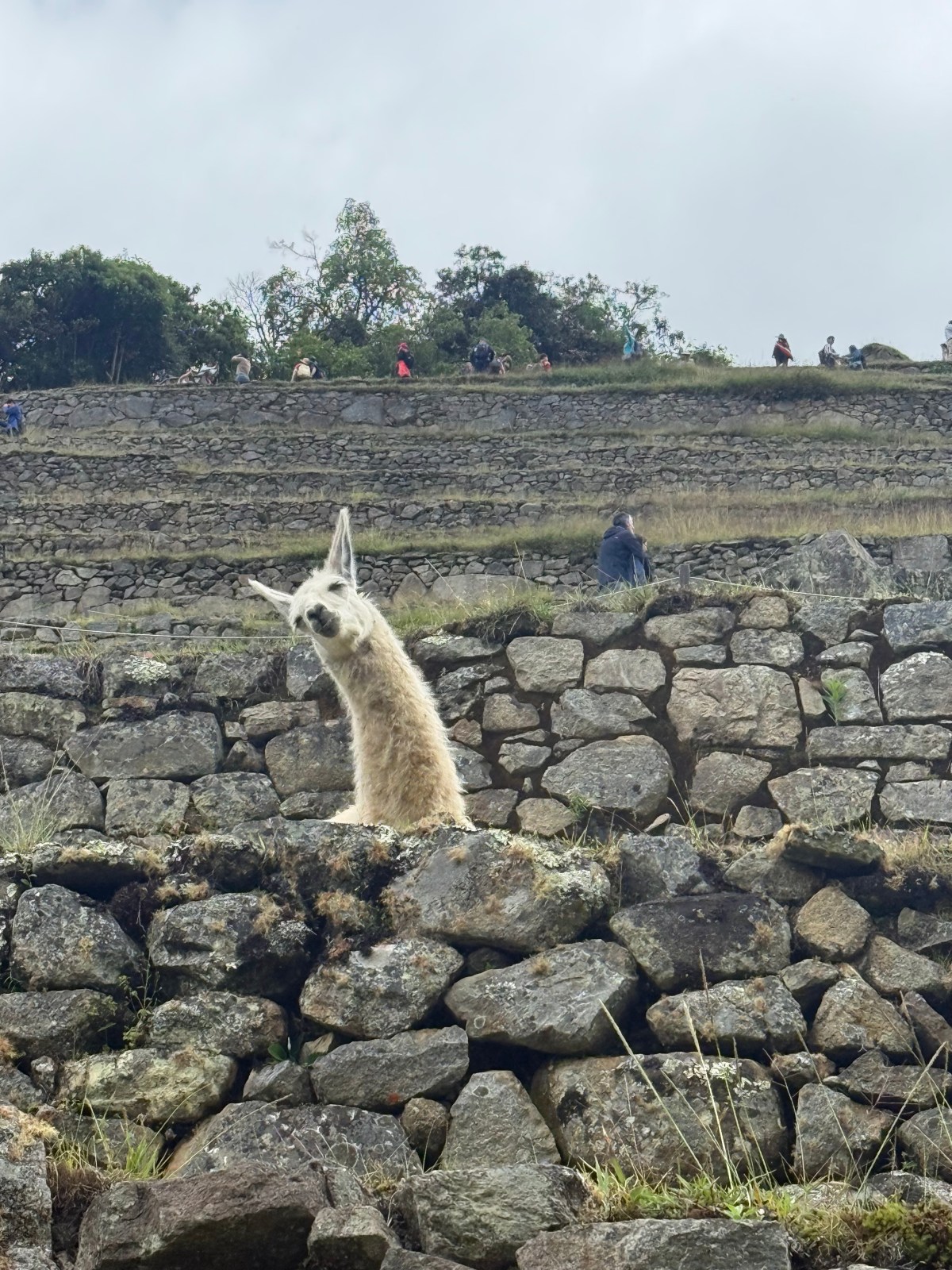 Discovering the Real Peru: Photos and Insights from Machu&nbsp;Picchu